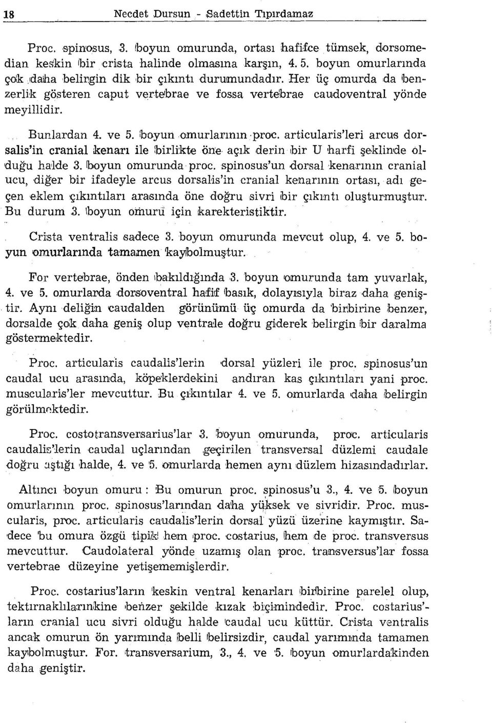 boyun.omurlarının proc. articularis'leri arcus dorsalis'in cranial ikenarı ile :birlikte ö.ne açık derin ibir U harfi şeklinde olduğu ha,1de 3.!boyun om urunda proc.