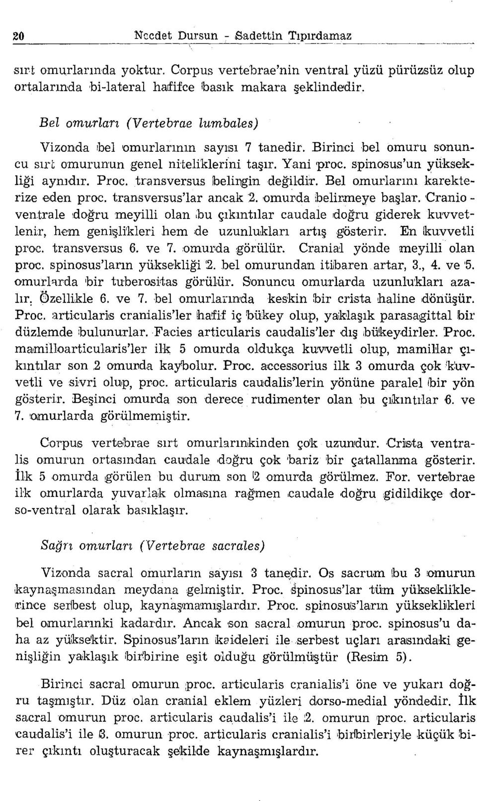 transversus lbelingin değildir. Bel nınurlarını karekterize eden proc. transversus'lar ancak 2. omurda belirmeye başlar. Cranioven.