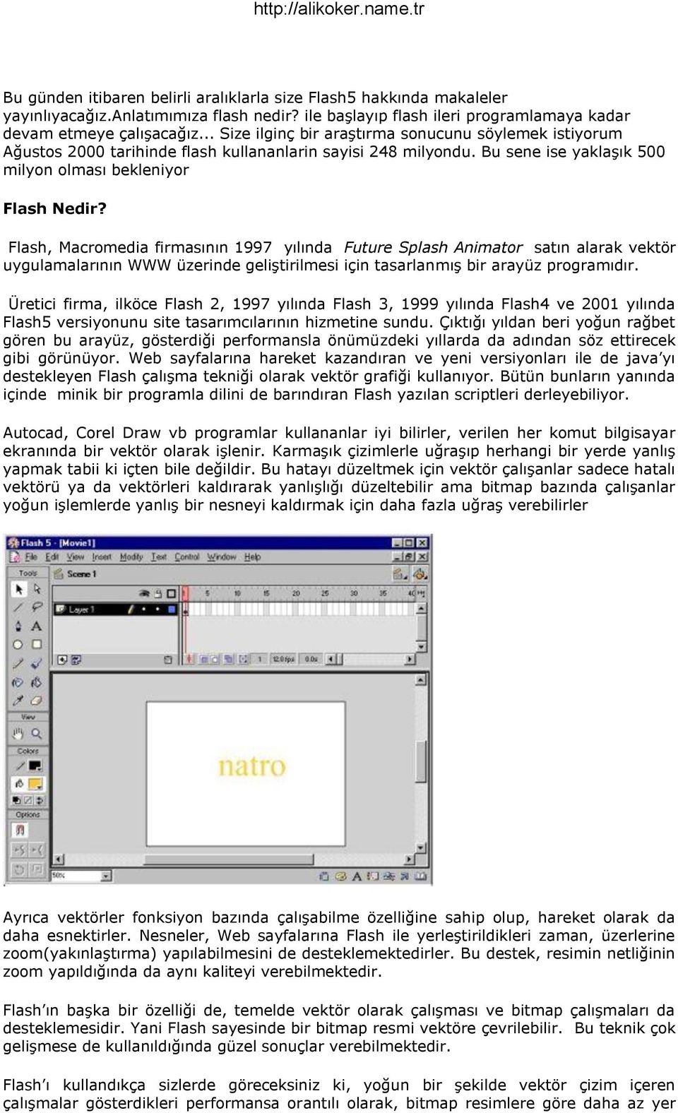 Flash, Macromedia firmasının 1997 yılında Future Splash Animator satın alarak vektör uygulamalarının WWW üzerinde geliştirilmesi için tasarlanmış bir arayüz programıdır.