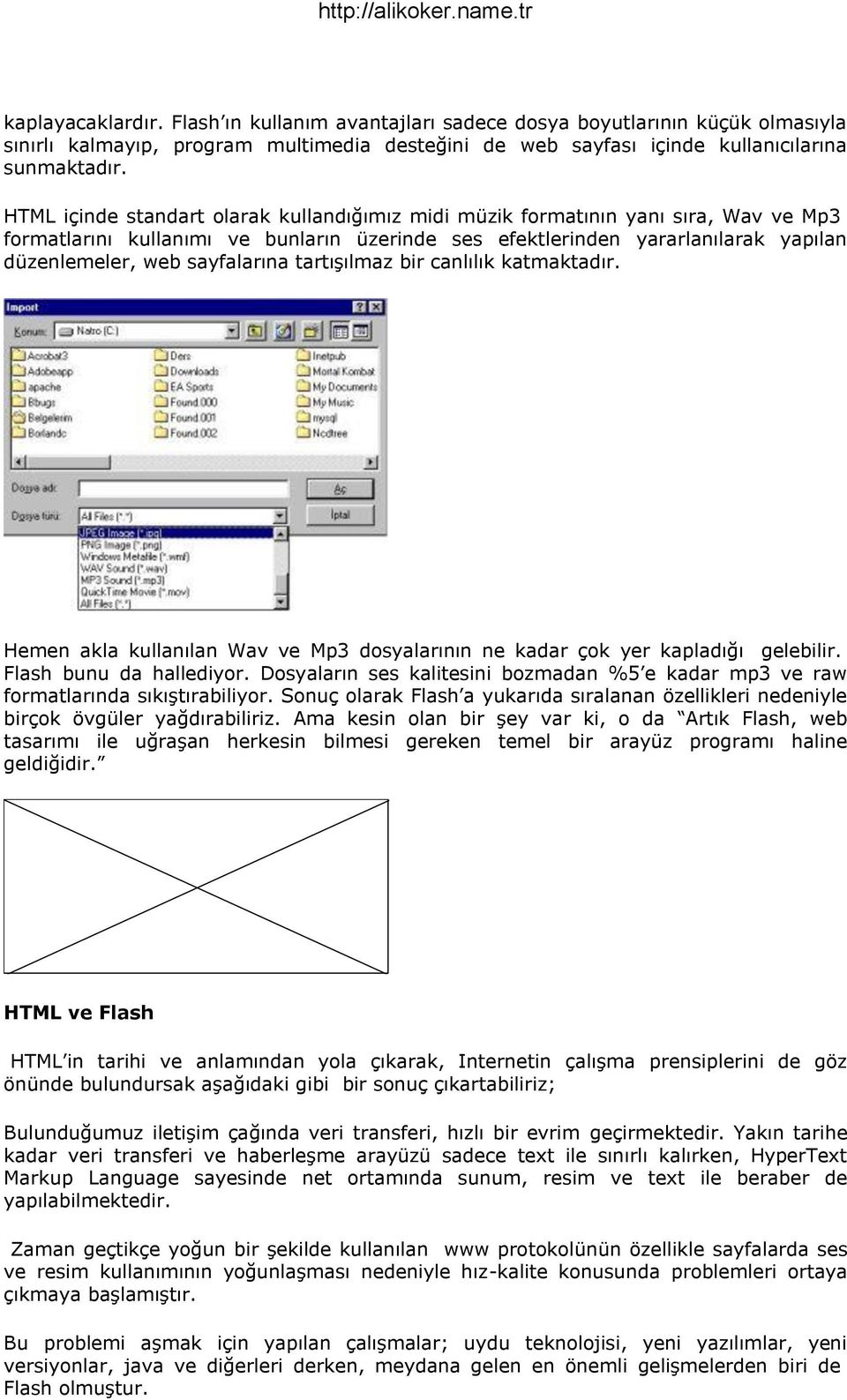 sayfalarına tartışılmaz bir canlılık katmaktadır. Hemen akla kullanılan Wav ve Mp3 dosyalarının ne kadar çok yer kapladığı gelebilir. Flash bunu da hallediyor.