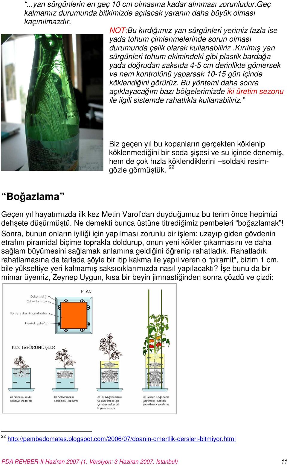 kırılmış yan sürgünleri tohum ekimindeki gibi plastik bardağa yada doğrudan saksıda 4-5 cm derinlikte gömersek ve nem kontrolünü yaparsak 10-15 gün içinde köklendiğini görürüz.