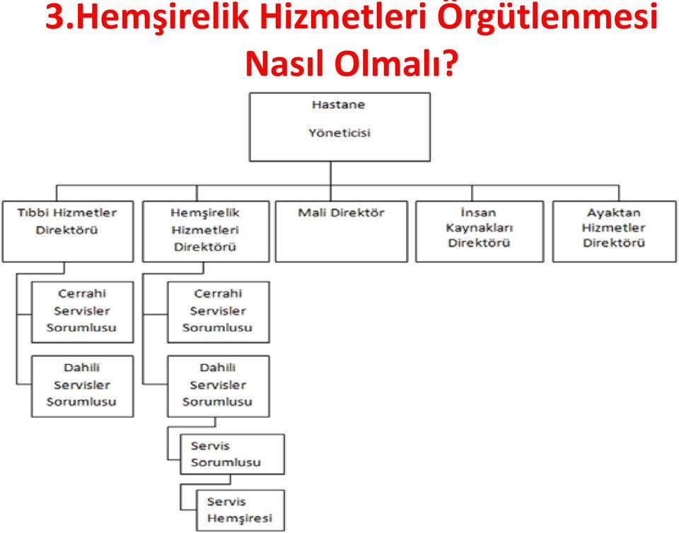 Örgütlenmesi