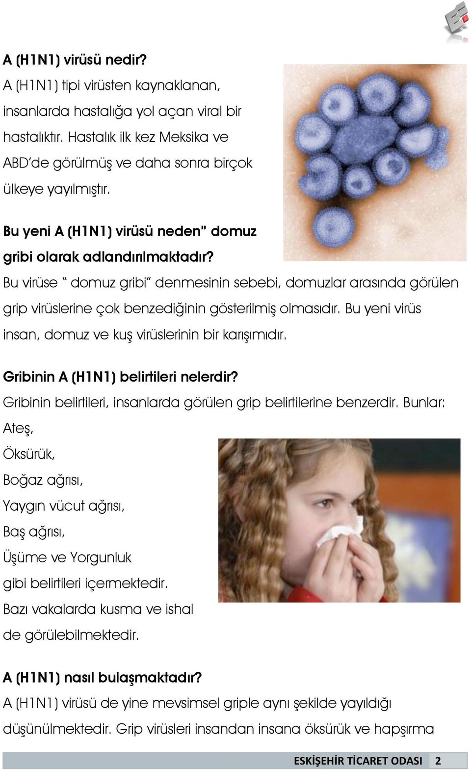 Bu yeni virüs insan, domuz ve ku virüslerinin bir karıımıdır. Gribinin A (H1N1) belirtileri nelerdir? Gribinin belirtileri, insanlarda görülen grip belirtilerine benzerdir.