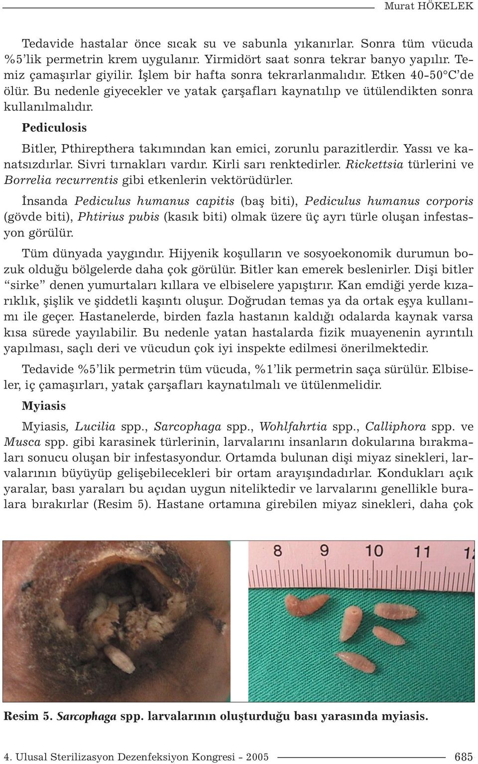 Pediculosis Bitler, Pthirepthera takımından kan emici, zorunlu parazitlerdir. Yassı ve kanatsızdırlar. Sivri tırnakları vardır. Kirli sarı renktedirler.