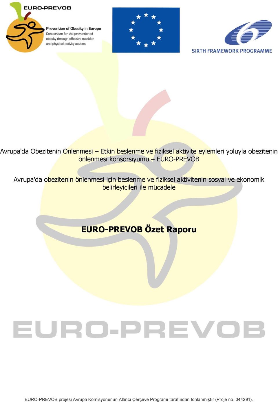 fiziksel aktivitenin sosyal ve ekonomik belirleyicileri ile mücadele EURO-PREVOB Özet Raporu
