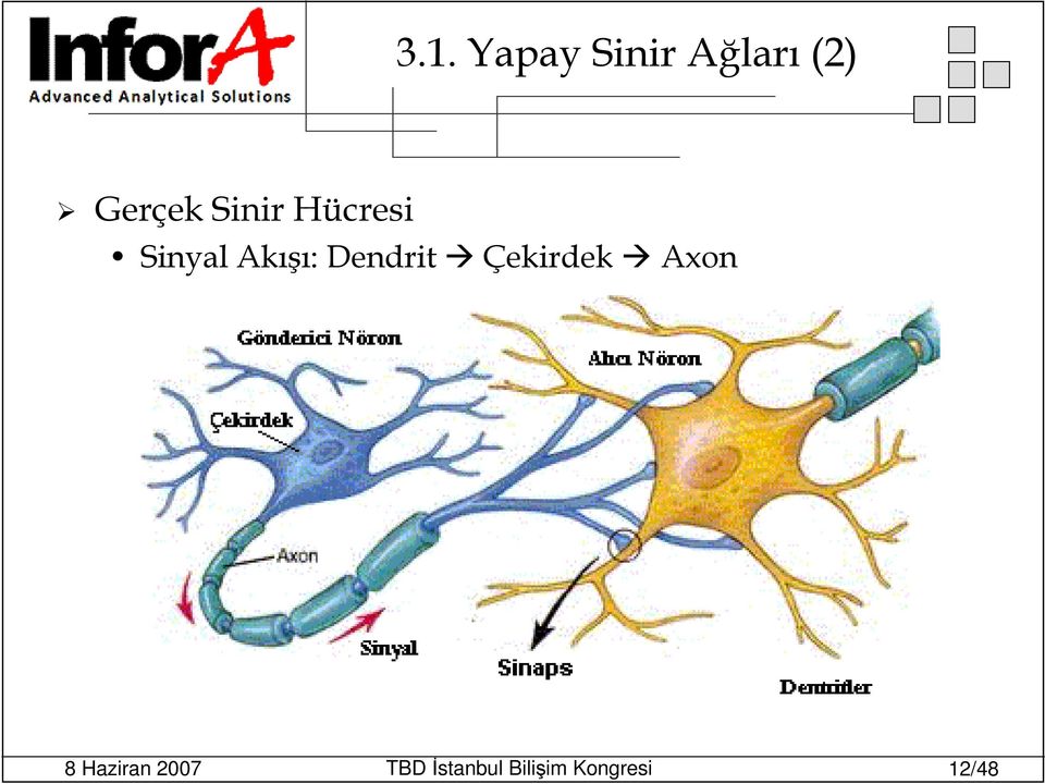 Sinir Hücresi Sinyal