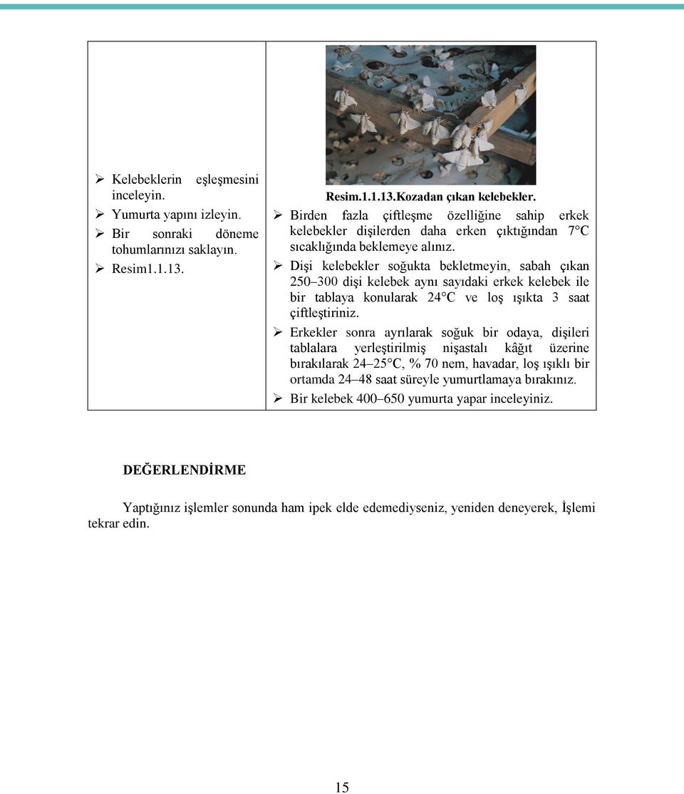 Dişi kelebekler soğukta bekletmeyin, sabah çıkan 250 300 dişi kelebek aynı sayıdaki erkek kelebek ile bir tablaya konularak 24 C ve loş ışıkta 3 saat çiftleştiriniz.