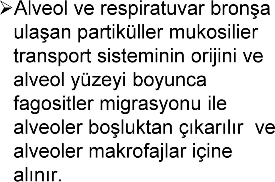 yüzeyi boyunca fagositler migrasyonu ile alveoler