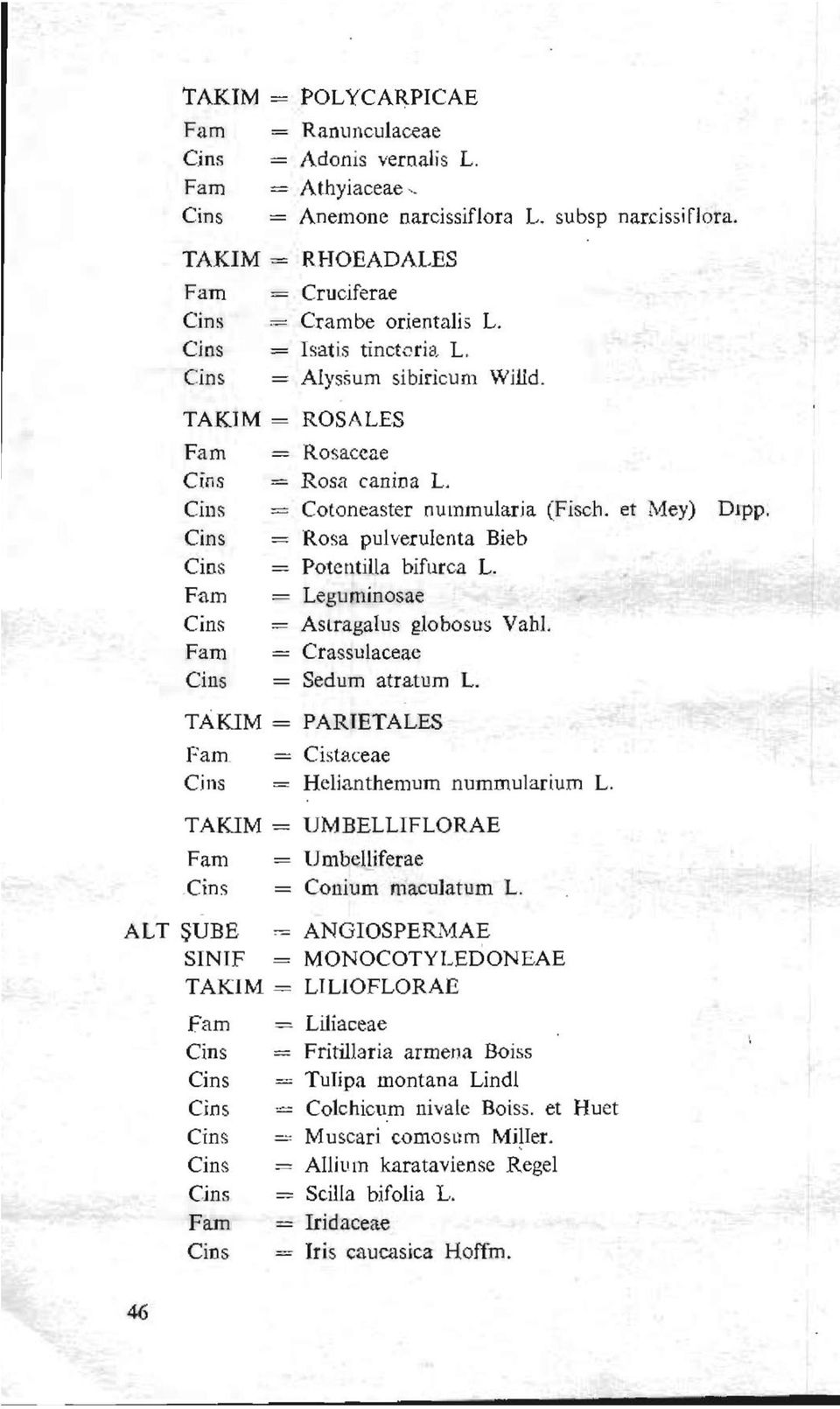 Cins = Cotoneaster nummularia (Fisch. et Mey) Dıpp. Cins = Rosa pulveruienta Bieb Cins = Potentiila bifurca L. Fam Leguminosae Cins Aslragalus globosus Vahi. Fam = Crassulaceae Cins = Sedum atratum L.