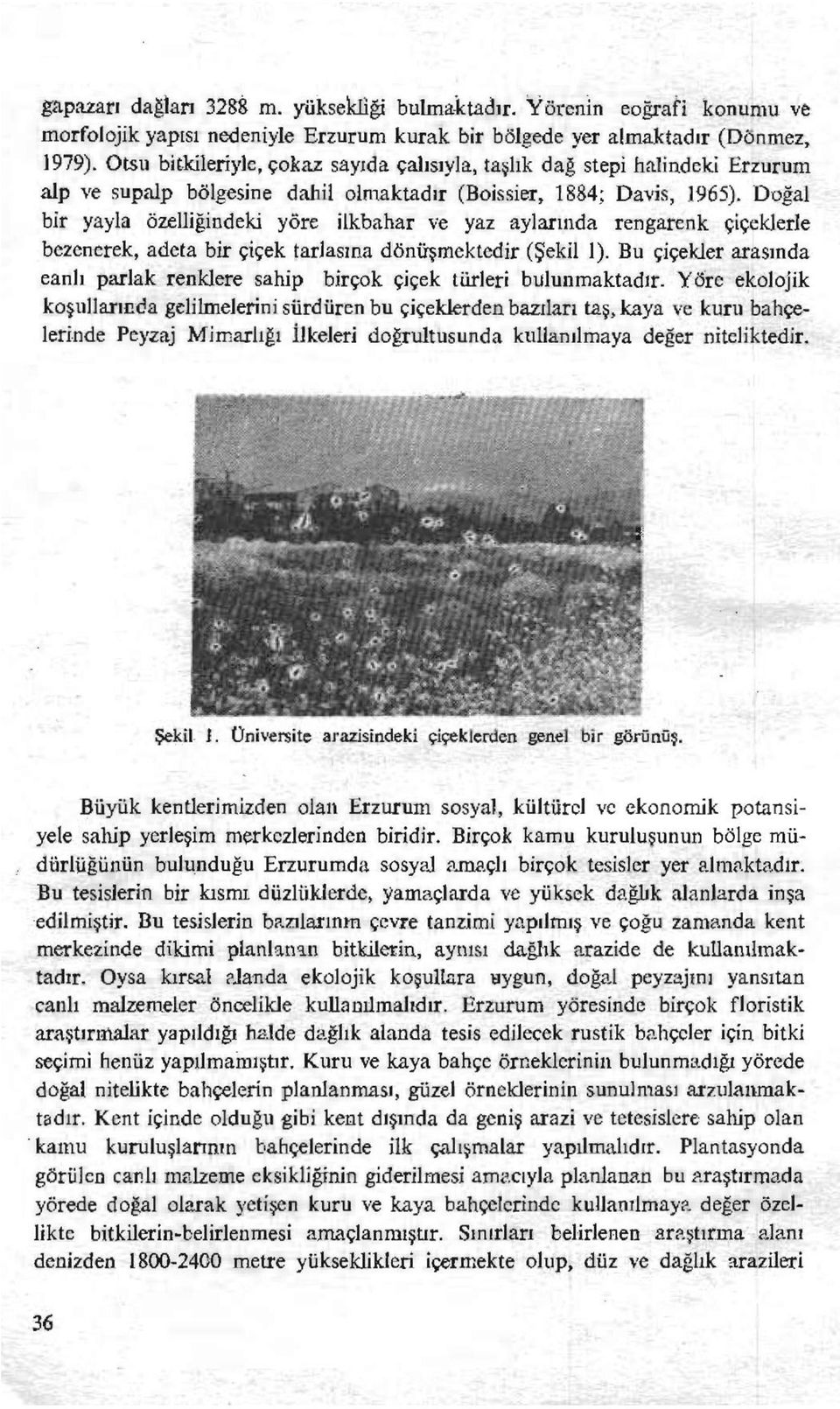 Doğal bir yayla özelliğindeki yöre ilkbahar ve yaz aylarında rengarenk çiçeklerle bezenerek, adeta bir çiçek tarlasına dönüşmektedir (Şekil 1).