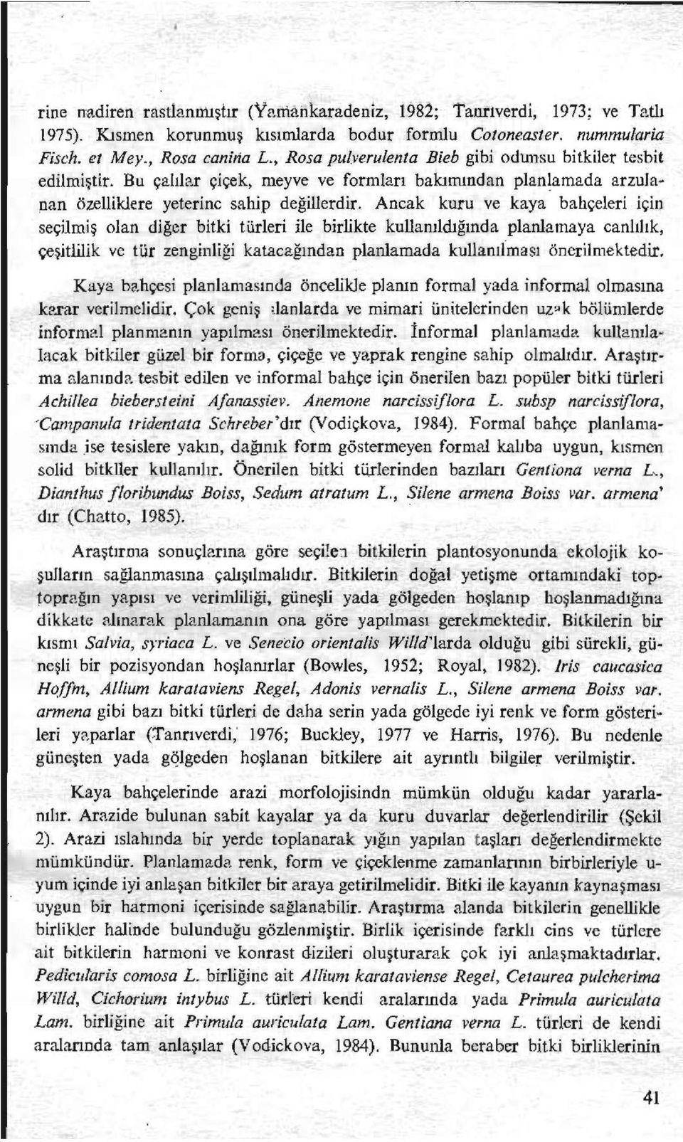 Ancak kuru ve kaya bahçeleri için seçilmiş olan diğer bitki türleri ile birlikte kullanıldığında planlamaya canlılık, çeşitlilik ve tür zenginliği katacağından planlamada kullanılması önerilmektedir.