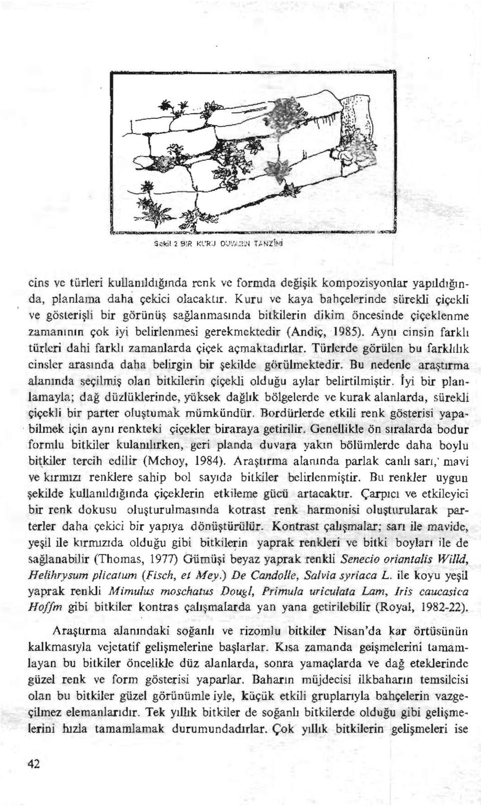 Aynı cinsin farklı türleri dahi farklı zamanlarda çiçek açmaktadırlar. Türlerde görülen bu farklılık cinsler arasında daha belirgin bir şekilde görülmektedir.