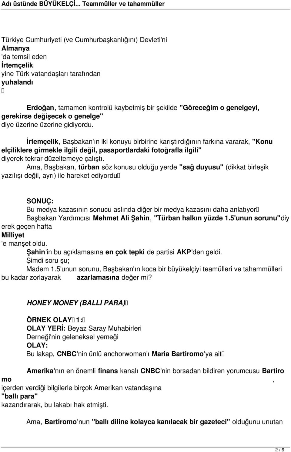 İrtemçelik, Başbakan'ın iki konuyu birbirine karıştırdığının farkına vararak, "Konu elçiliklere girmekle ilgili değil, pasaportlardaki fotoğrafla ilgili" diyerek tekrar düzeltemeye çalıştı.