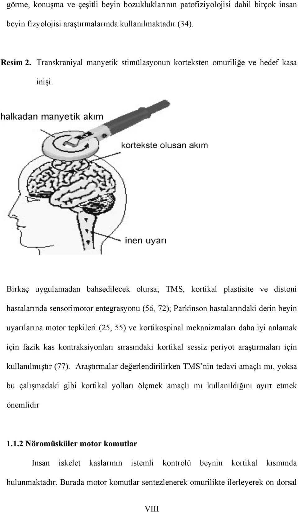 Birkaç uygulamadan bahsedilecek olursa; TMS, kortikal plastisite ve distoni hastalarında sensorimotor entegrasyonu (56, 72); Parkinson hastalarındaki derin beyin uyarılarına motor tepkileri (25, 55)