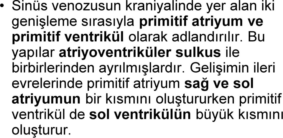 Bu yapılar atriyoventriküler sulkus ile birbirlerinden ayrılmışlardır.