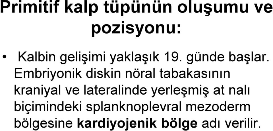 Embriyonik diskin nöral tabakasının kraniyal ve lateralinde