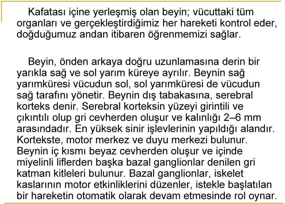 Beynin dış tabakasına, serebral korteks denir. Serebral korteksin yüzeyi girintili ve çıkıntılı olup gri cevherden oluşur ve kalınlığı 2 6 mm arasındadır.