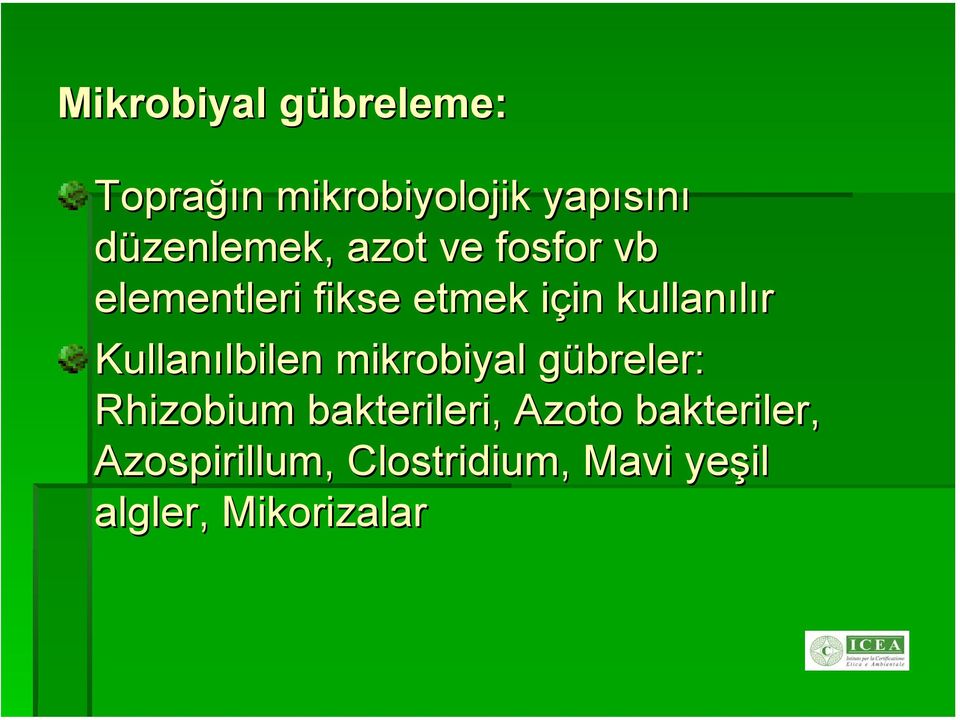 kullanılır Kullanılbilen mikrobiyal gübreler: Rhizobium