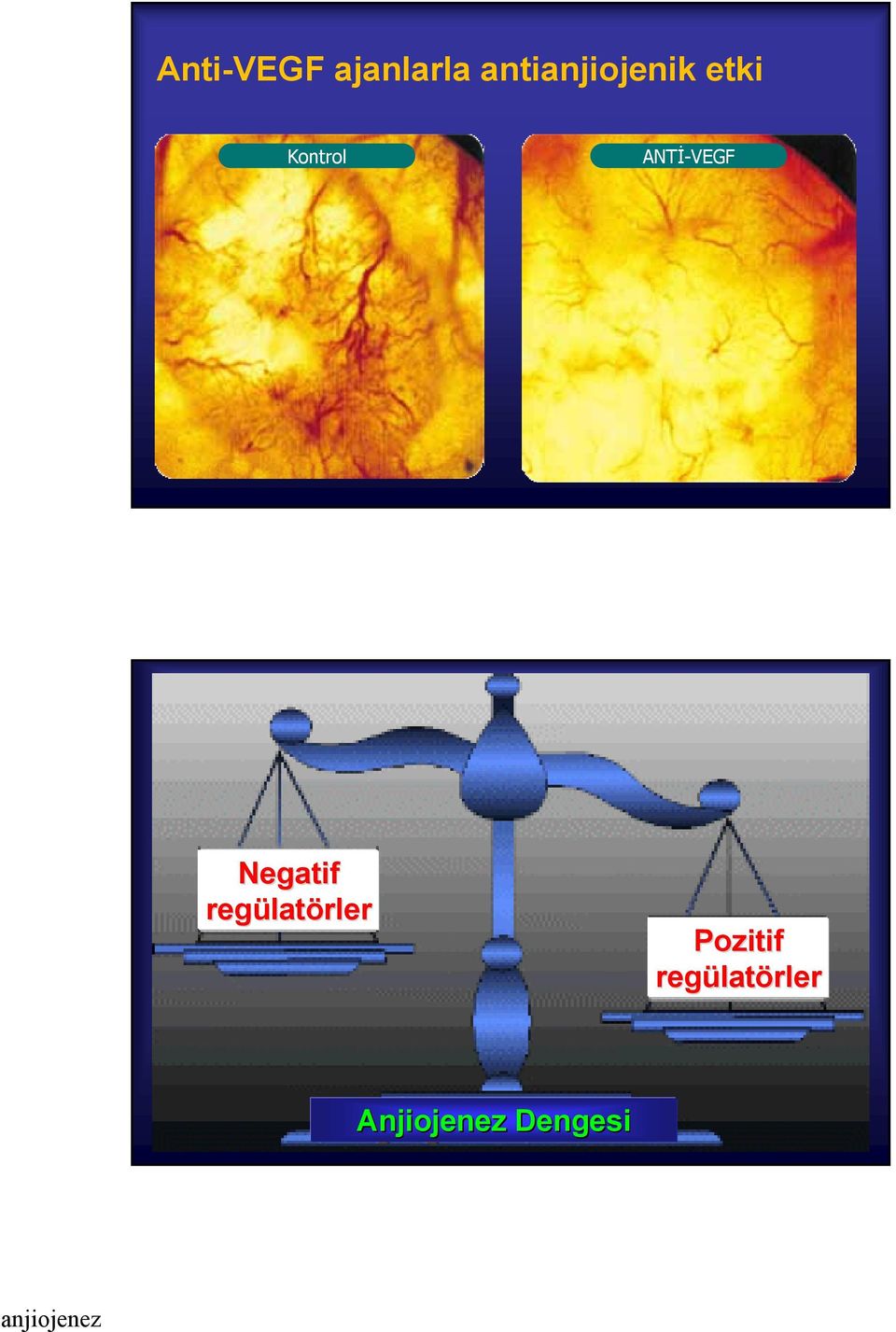 ANTİ-VEGF Negatif regülat