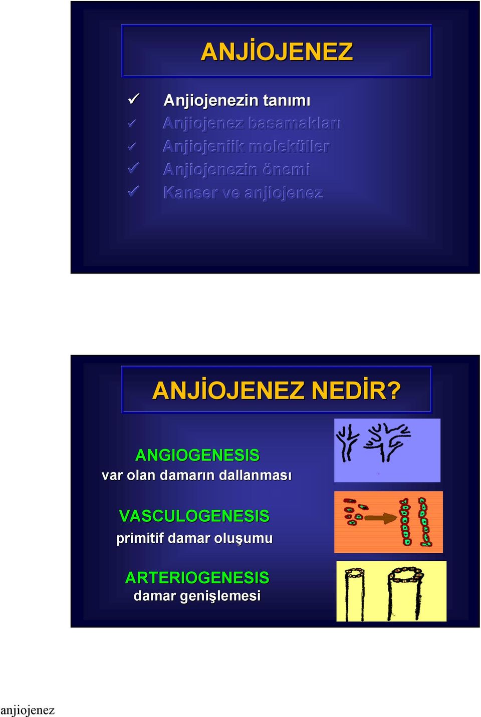 ANJİOJENEZ NEDİR?