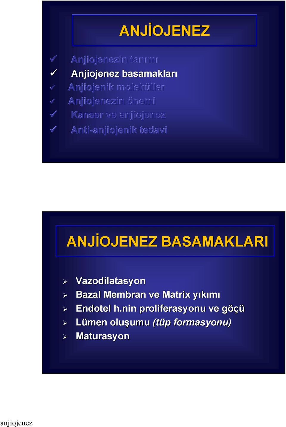 ANJİOJENEZ BASAMAKLARI Vazodilatasyon Bazal Membran ve Matrix yıkımıy