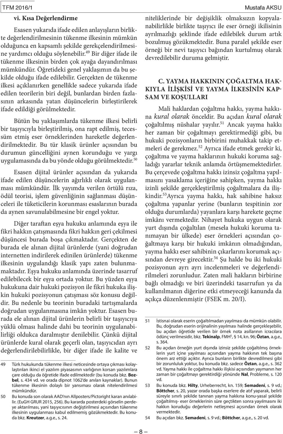 49 Bir diğer ifade ile tükenme ilkesinin birden çok ayağa dayandırılması mümkündür. Öğretideki genel yaklaşımın da bu şekilde olduğu ifade edilebilir.