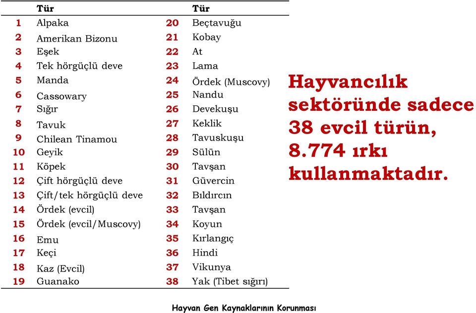 Çift/tek hörgüçlü deve 32 Bıldırcın 14 Ördek (evcil) 33 Tavşan 15 Ördek (evcil/muscovy) 34 Koyun 16 Emu 35 Kırlangıç 17 Keçi 36 Hindi 18 Kaz