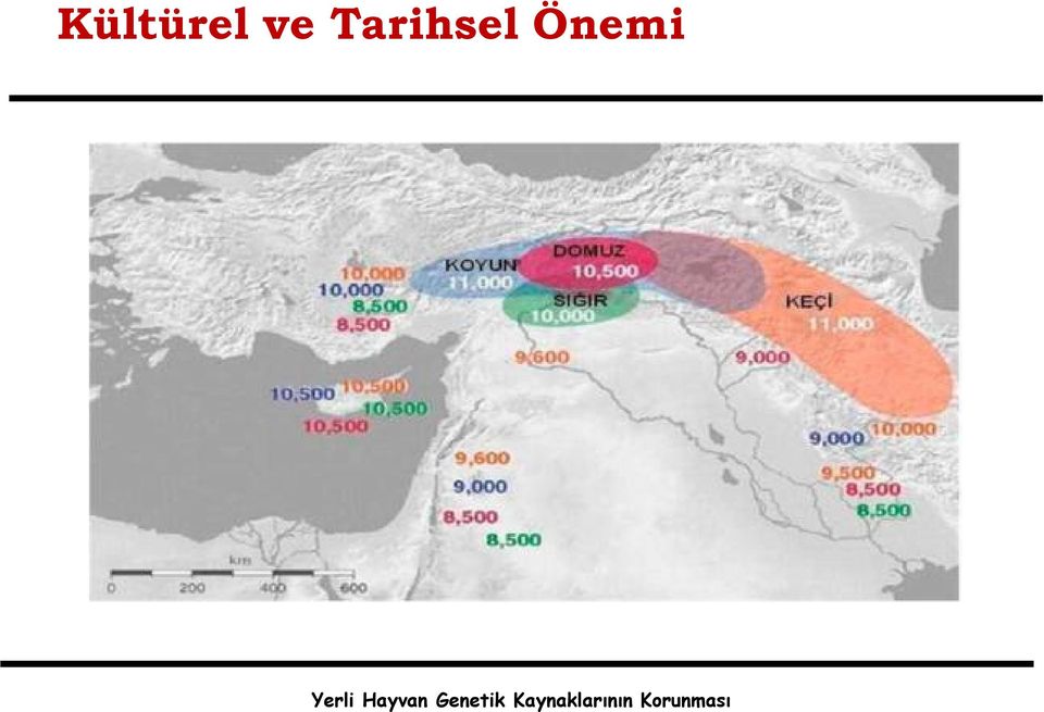 Tarihsel