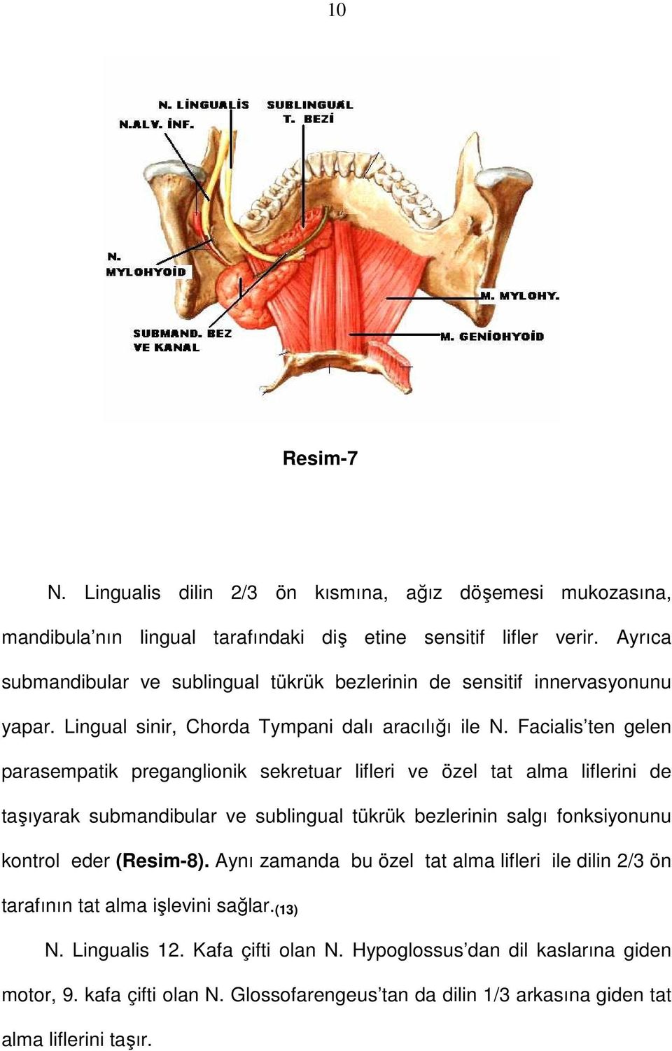 Facialis ten gelen parasempatik preganglionik sekretuar lifleri ve özel tat alma liflerini de taşıyarak submandibular ve sublingual tükrük bezlerinin salgı fonksiyonunu kontrol eder