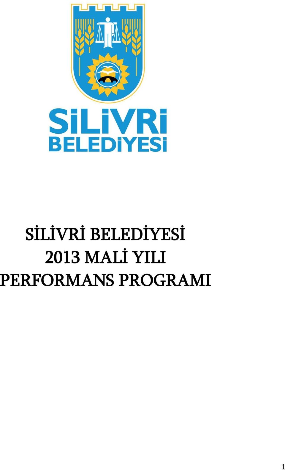 2013 MALİ