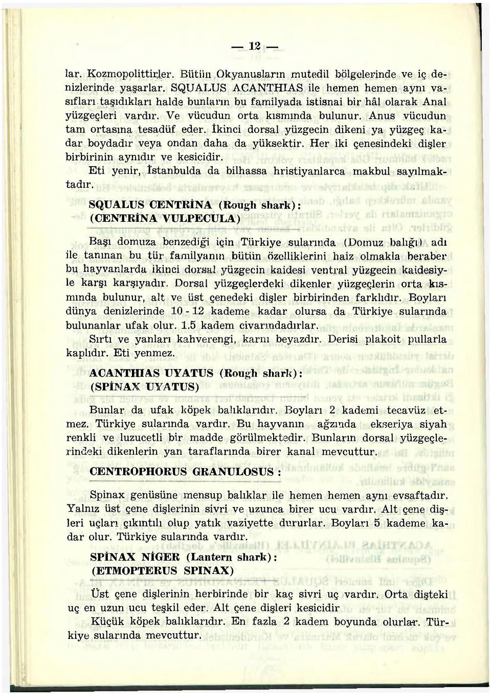 Anus vücudun tam ortasına tesadüf eder. İkinci dorsal yüzgecin dikeni ya yüzgeç kadar boydadır veya ondan daha da yüksektir. Her iki çenesindeki dişler birbirinin aynıdır ve kesicidir.