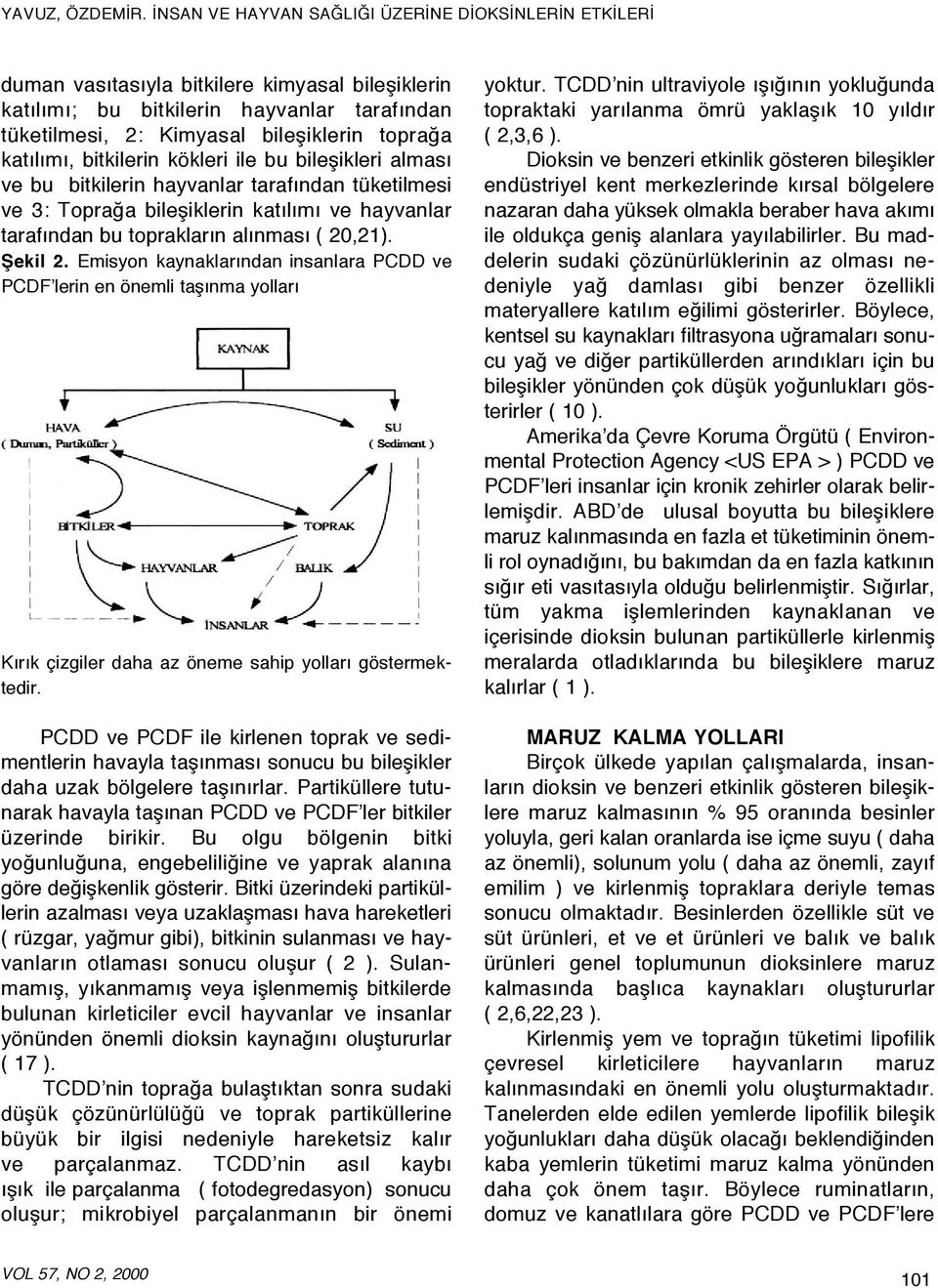 Emisyon kaynaklarından insanlara PCDD ve PCDF lerin en önemli taşınma yolları Kırık çizgiler daha az öneme sahip yolları göstermektedir.