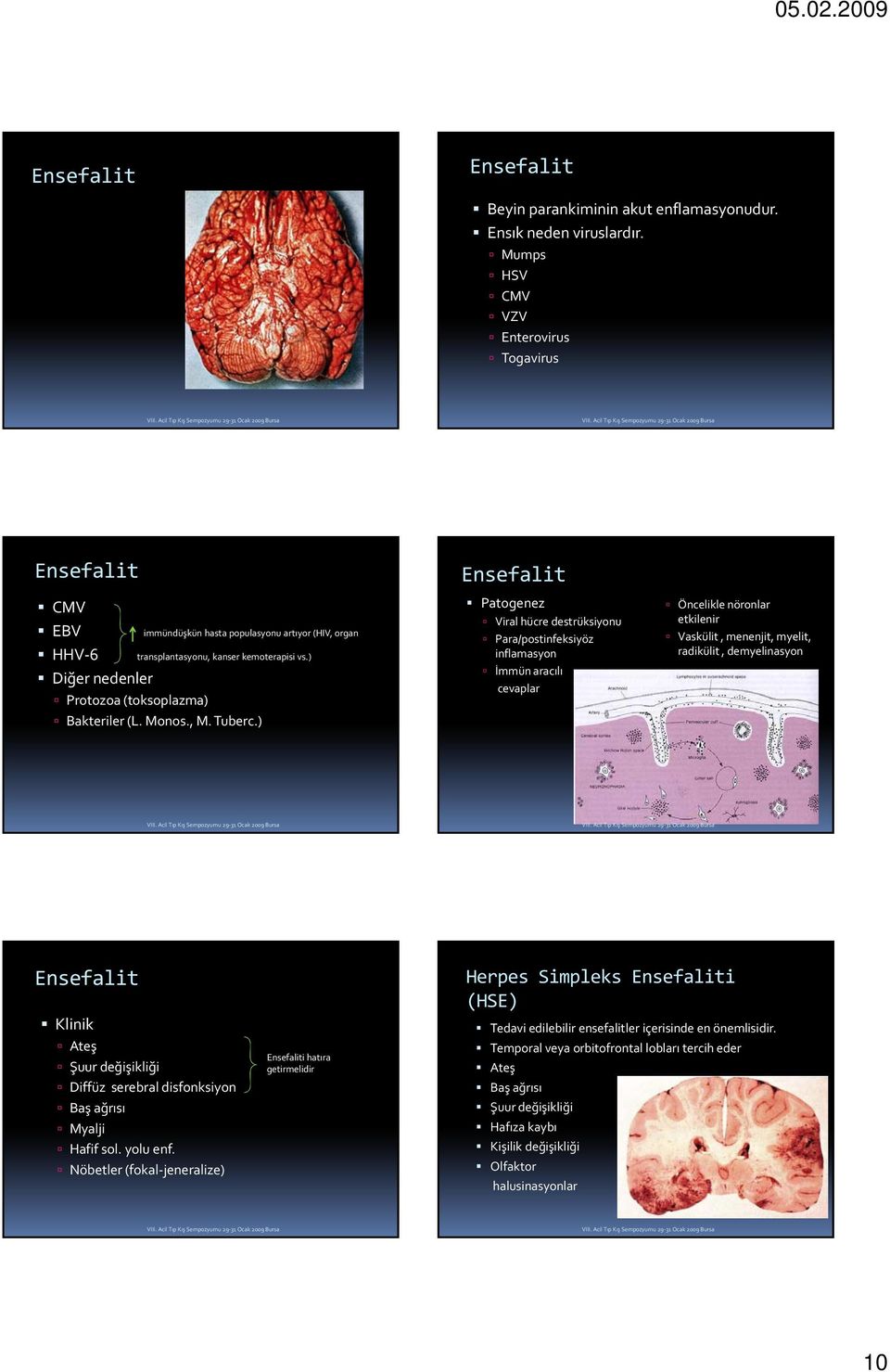 ) Bakteriler (L. Monos., M. Tuberc.