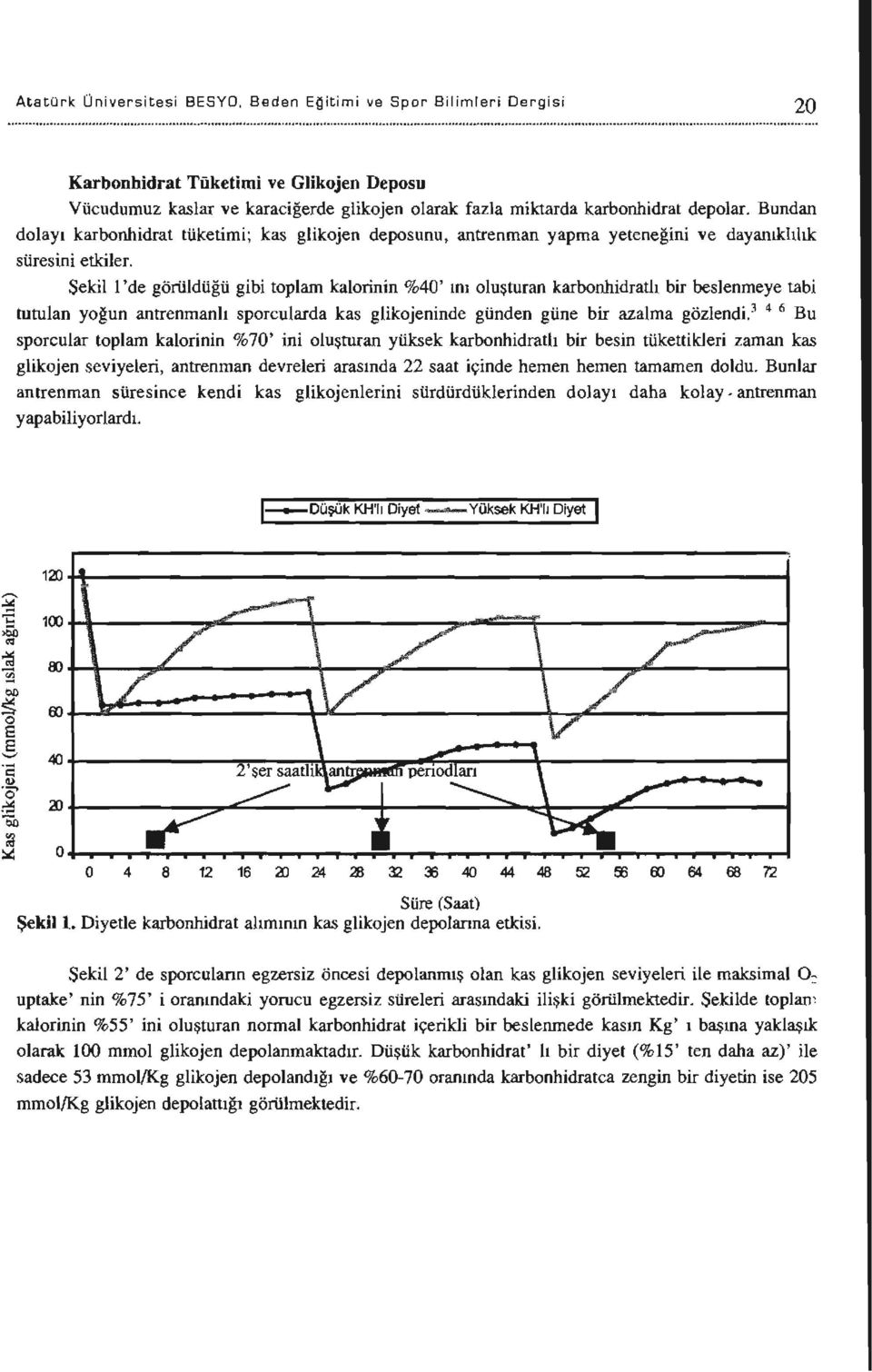 Şekil i 'de göıüldüğü gibi toplam kalorinin %40' ını oluşturan karbonhidratlı bir beslenmeye tabi tutulan yoğun antrenmanlı sporcularda kas glikojeninde günden güne bir azalma gözlendi.