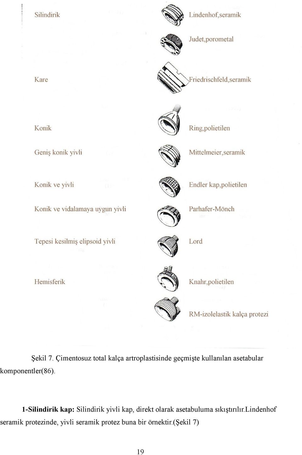 asetabular komponentler(86).