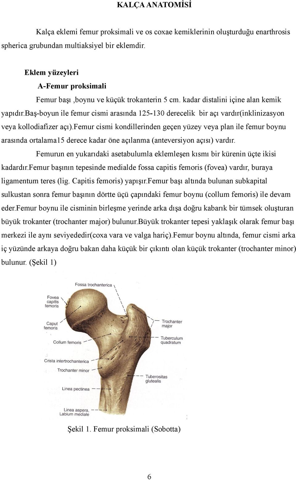 baş-boyun ile femur cismi arasında 125-130 derecelik bir açı vardır(inklinizasyon veya kollodiafizer açı).