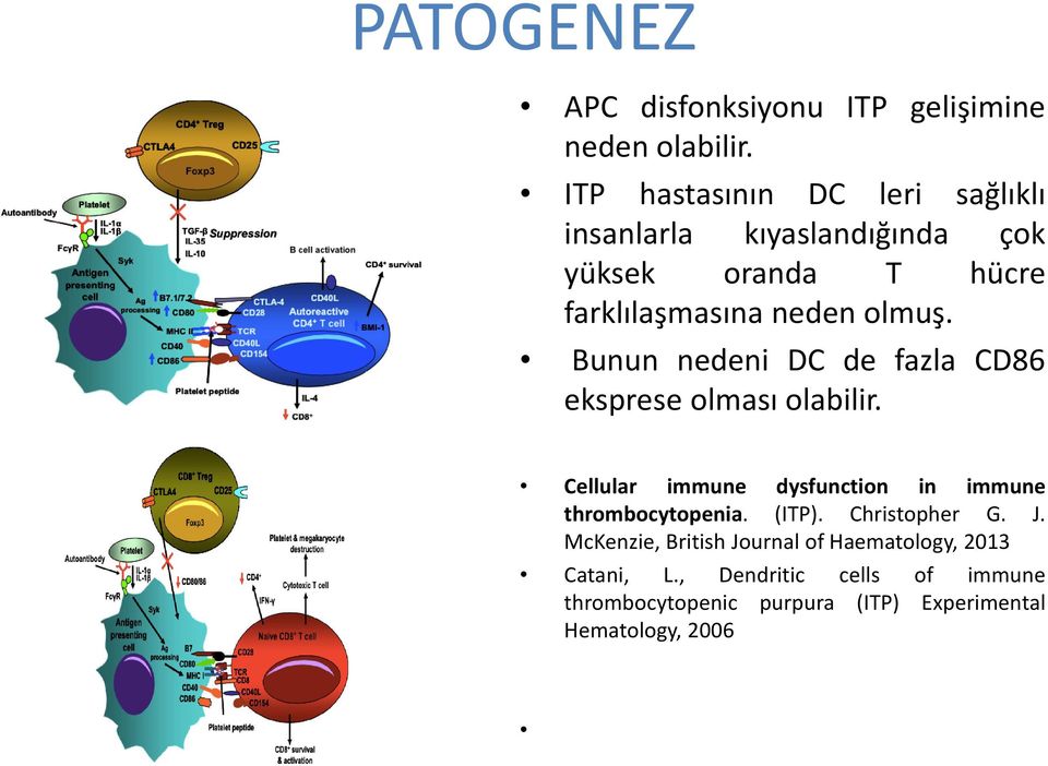 Bunun nedeni DC de fazla CD86 eksprese olması olabilir. Cellular immune dysfunction in immune thrombocytopenia.