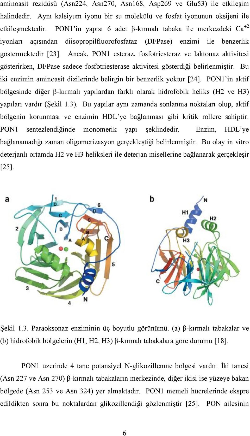 Ancak, PON1 esteraz, fosfotriesteraz ve laktonaz aktivitesi gösterirken, DFPase sadece fosfotriesterase aktivitesi gösterdiği belirlenmiştir.