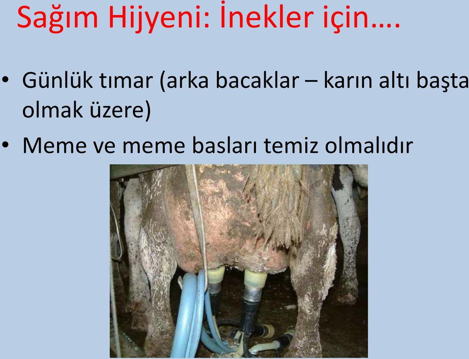 karın altı başta olmak üzere)