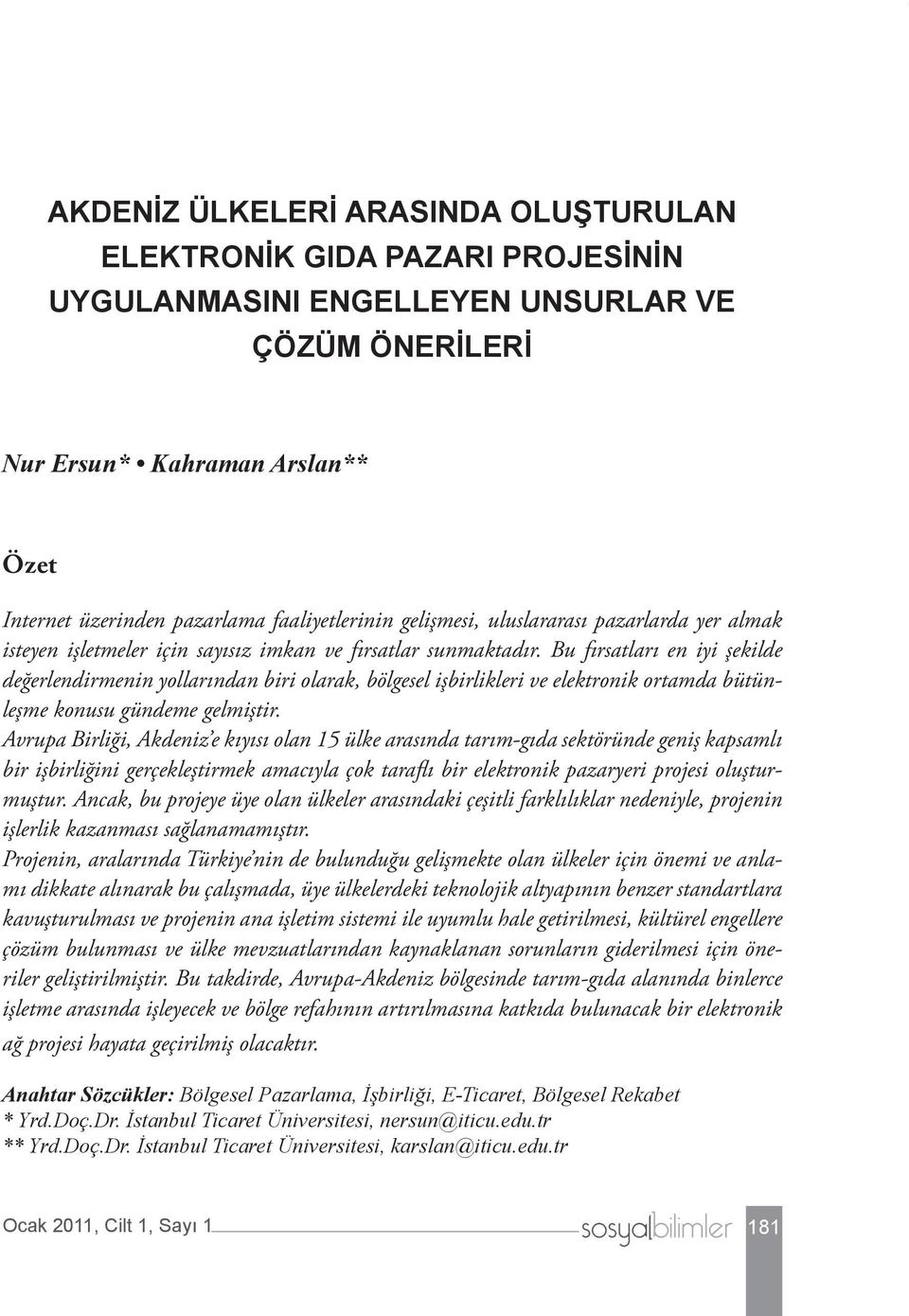 Bu fırsatları en iyi şekilde değerlendirmenin yollarından biri olarak, bölgesel işbirlikleri ve elektronik ortamda bütünleşme konusu gündeme gelmiştir.