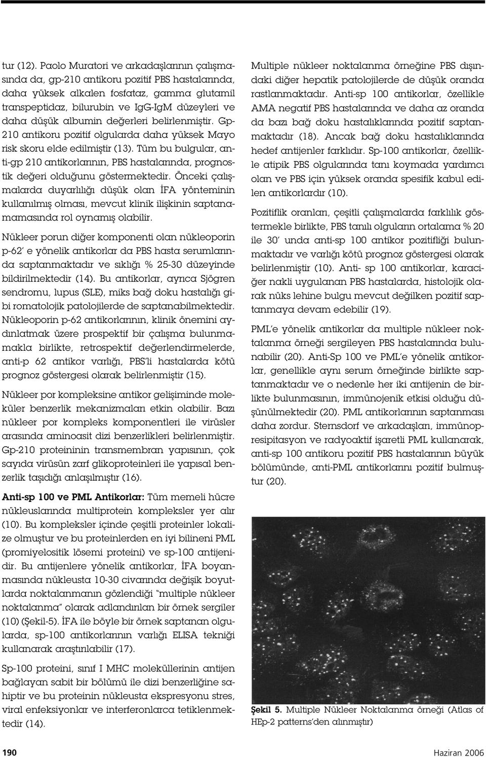 albumin de erleri belirlenmi tir. Gp- 2 0 antikoru pozitif olgularda daha yüksek Mayo risk skoru elde edilmi tir ( 3).