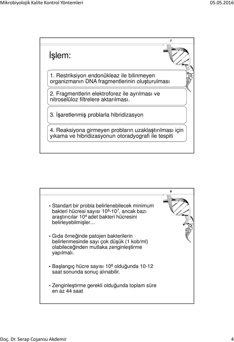 Reaksiyona girmeyen probların uzaklaştırılması için yıkama ve hibridizasyonun otoradyografi ile tespiti 8 Standart bir probla belirlenebilecek minimum bakteri hücresi sayısı 10 6-10 7, ancak