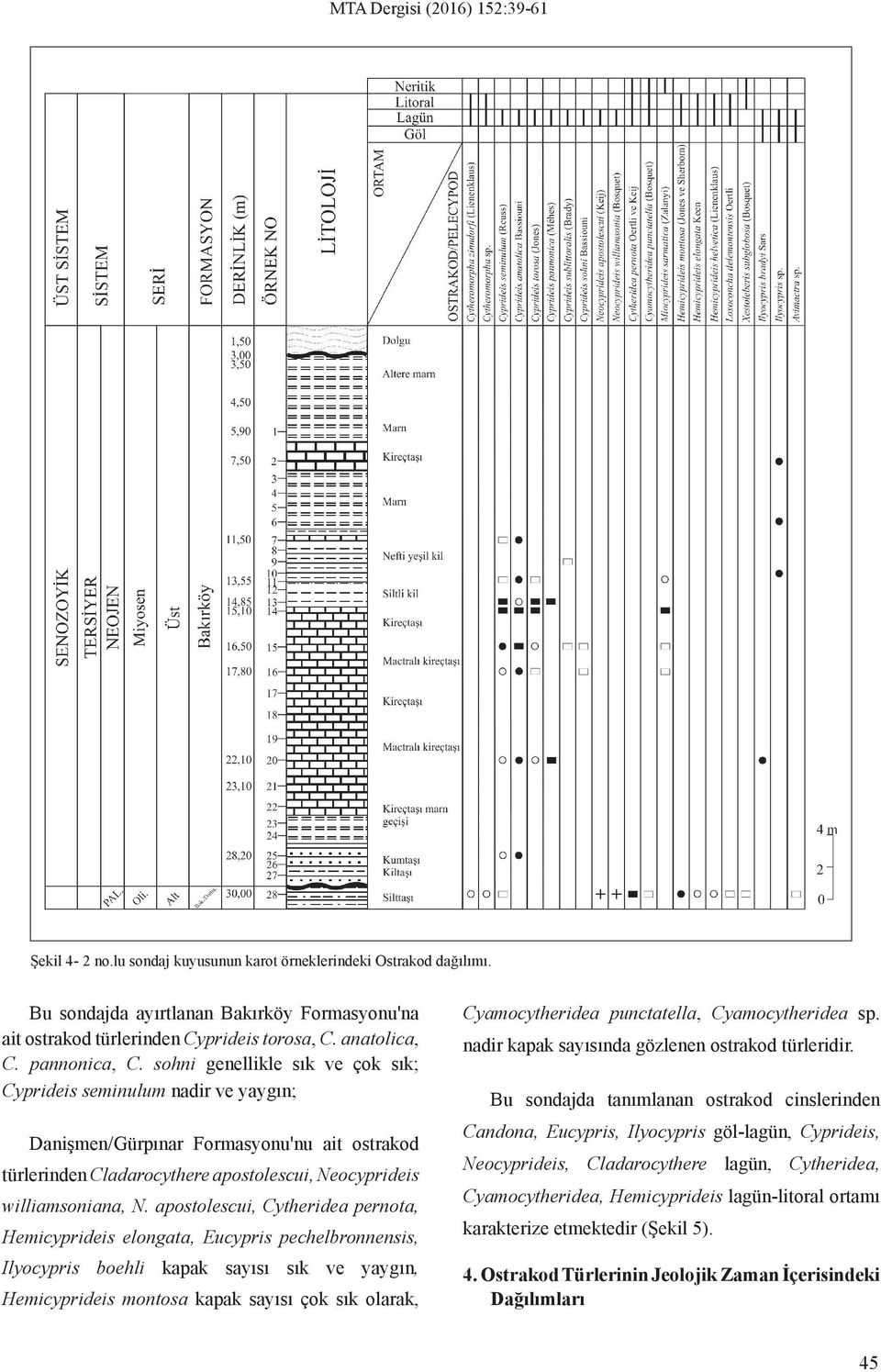 sohni genellikle sık ve çok sık; Cyprideis seminulum nadir ve yaygın; Danişmen/Gürpınar Formasyonu'nu ait ostrakod türlerinden Cladarocythere apostolescui, Neocyprideis williamsoniana, N.