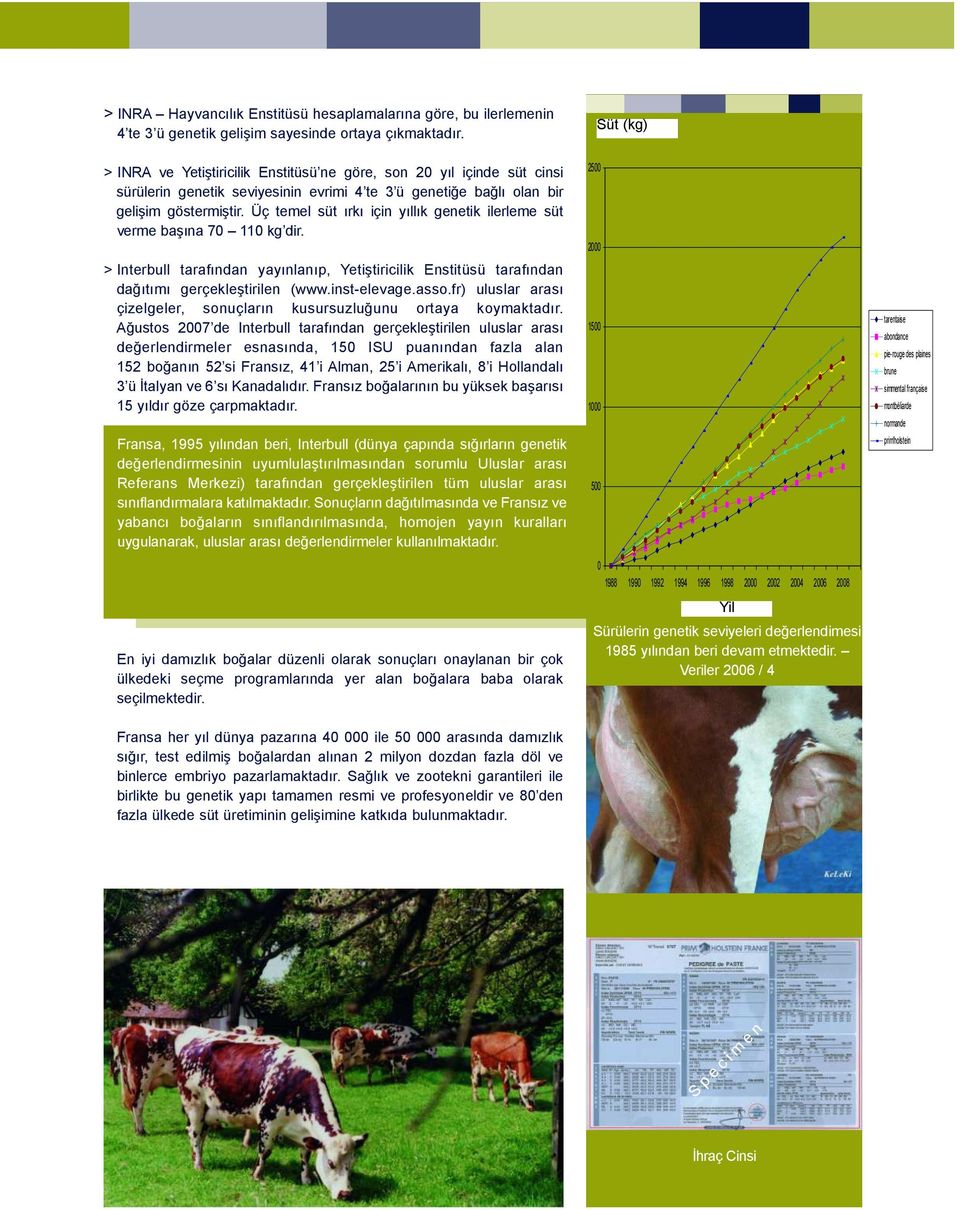 Üç temel süt ırkı için yıllık genetik ilerleme süt verme başına 70 110 kg dir. > Interbull tarafından yayınlanıp, Yetiştiricilik Enstitüsü tarafından dağıtımı gerçekleştirilen (www.inst-elevage.asso.