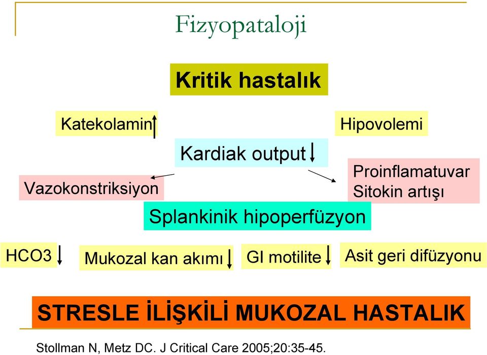 HCO3 Mukozal kan akımı GI motilite Asit geri difüzyonu STRESLE