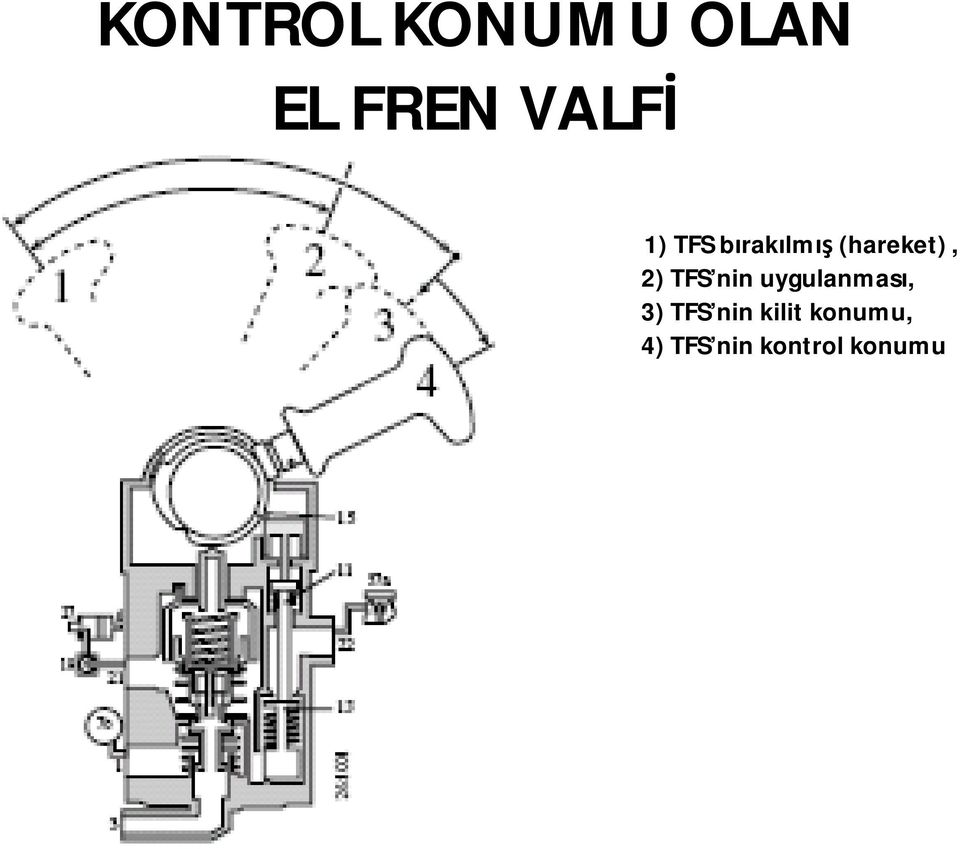 TFS nin uygulanması, 3) TFS nin