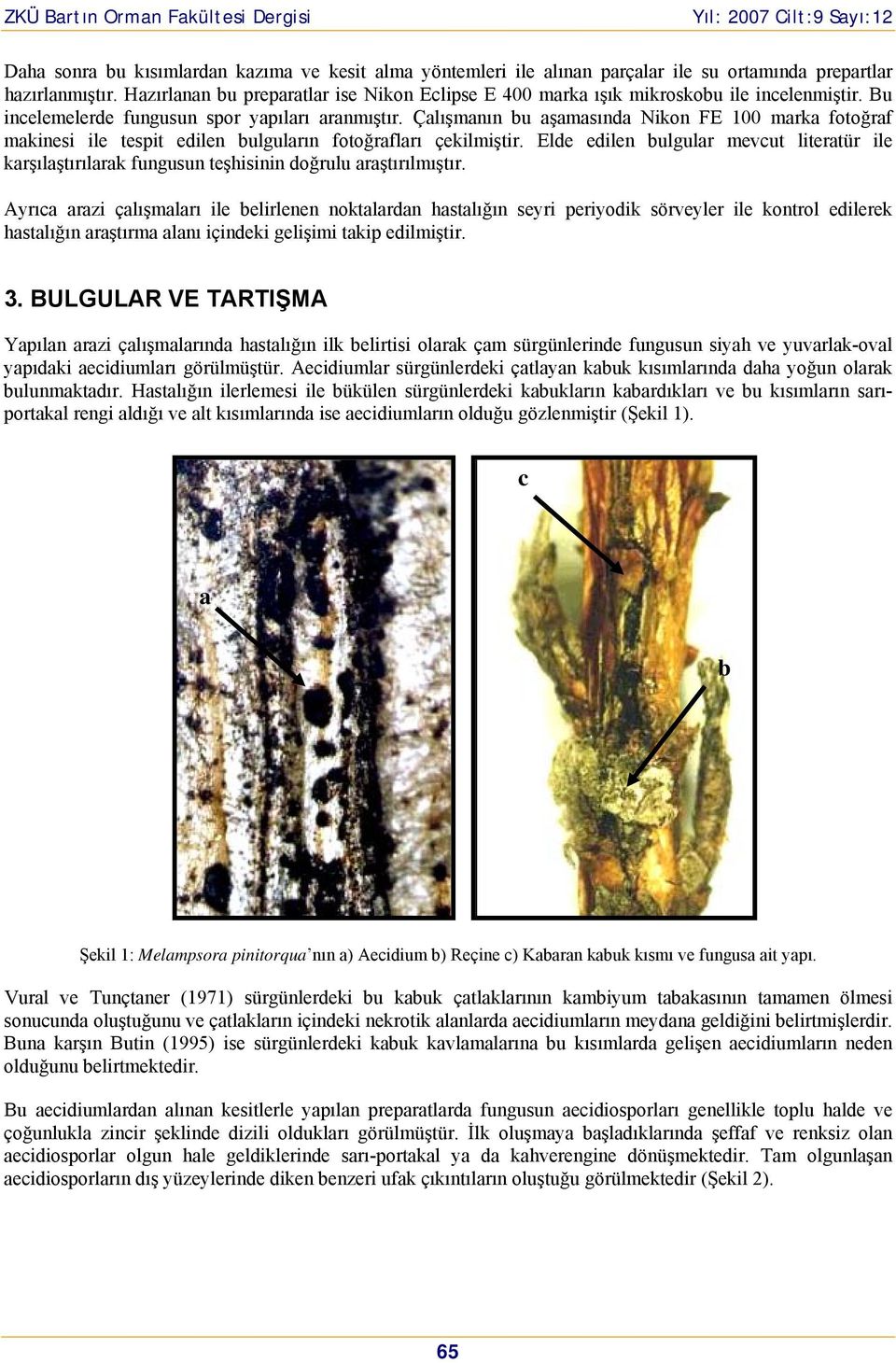 Çalışmanın bu aşamasında Nikn FE 100 marka ftğraf makinesi ile tespit edilen bulguların ftğrafları çekilmiştir.