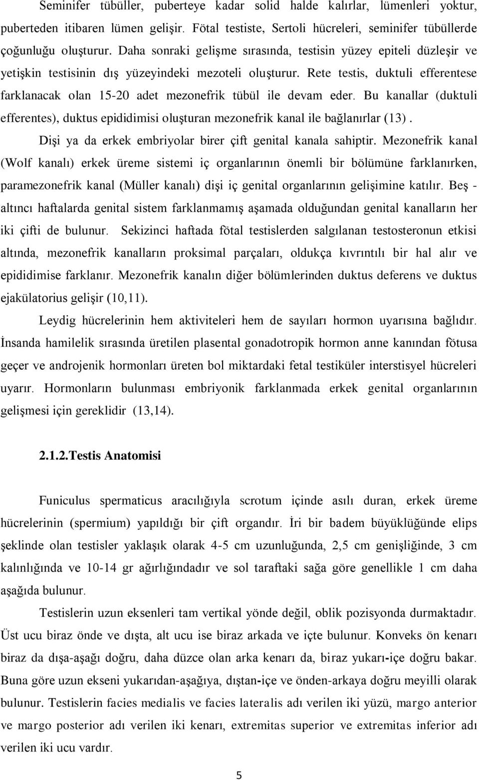 Rete testis, duktuli efferentese farklanacak olan 15-20 adet mezonefrik tübül ile devam eder. Bu kanallar (duktuli efferentes), duktus epididimisi oluģturan mezonefrik kanal ile bağlanırlar (13).