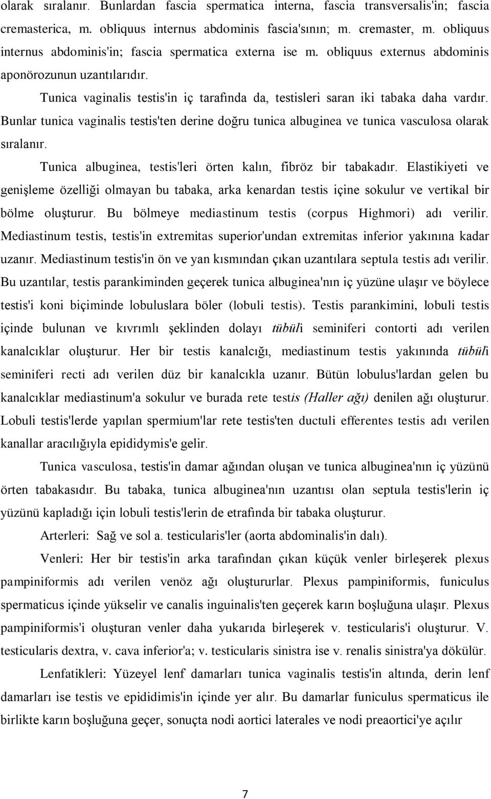 Tunica vaginalis testis'in iç tarafında da, testisleri saran iki tabaka daha vardır. Bunlar tunica vaginalis testis'ten derine doğru tunica albuginea ve tunica vasculosa olarak sıralanır.