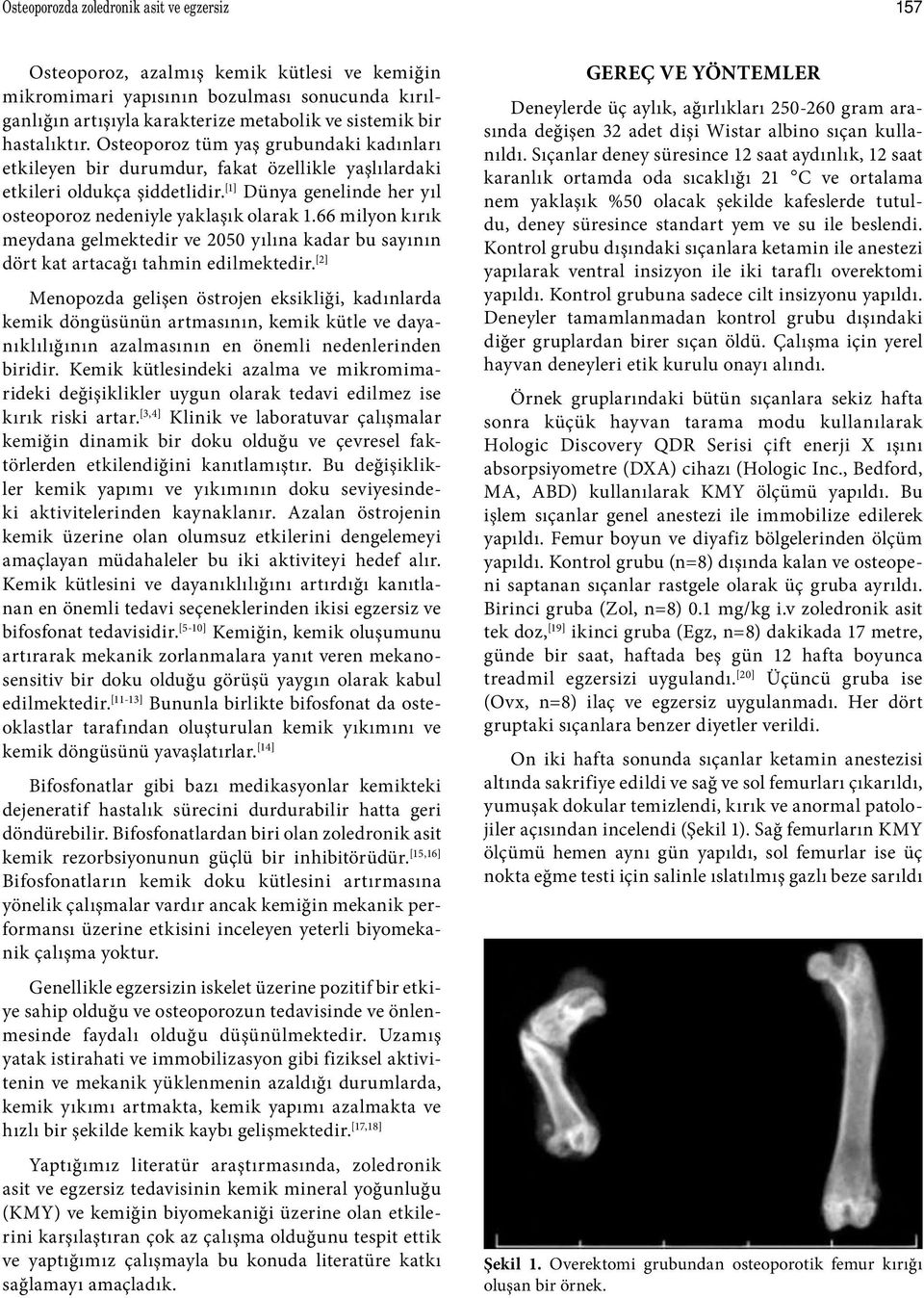 [1] Dünya genelinde her yıl osteoporoz nedeniyle yaklaşık olarak 1.66 milyon kırık meydana gelmektedir ve 2050 yılına kadar bu sayının dört kat artacağı tahmin edilmektedir.